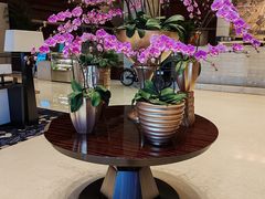 -苏州金鸡湖大酒店
