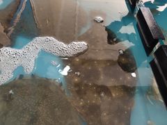 -四海鲜渔家菜(黄金海岸店)