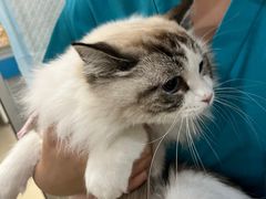 -美迦爱-牙专科·兔科·骨科诊疗中心(北苑店)