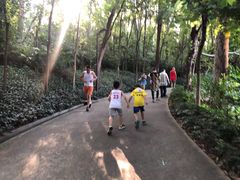 -南岗山公园