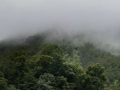 -藏龙百瀑风景区