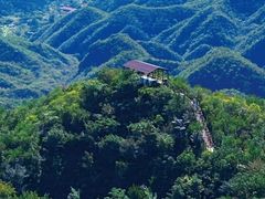-大岭沟猕猴桃谷风景区