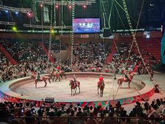 -俄罗斯国家大马戏团