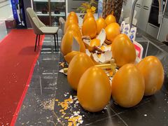 -索菲亚衣柜橱柜全屋定制(真北红星店)