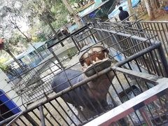 -昆明动物园