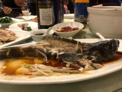 -梅龙镇酒家·宴会厅(南京西路总店)