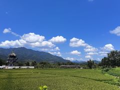 -黄牛肉馆·皖南土菜