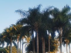 -石炮台公园