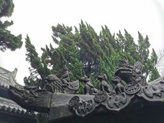 -秋霞圃