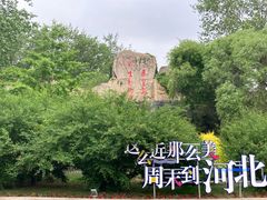 -秦皇岛野生动物园