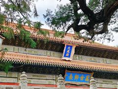 -北京国子监胡同