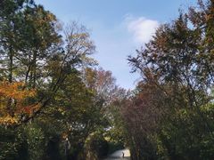 -虞山风景区
