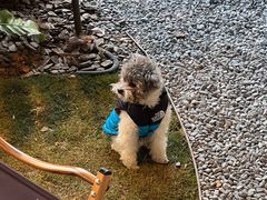 -J Create城市露营咖啡·简餐·宠物(上海动物园店)