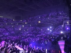 -南京奥林匹克体育中心-体育馆