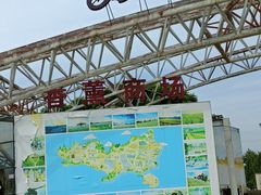 -紫颐香薰山谷景区