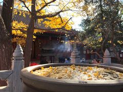 -红螺寺