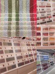 -THE COLORIST调色师