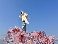 -WFC会仙楼观景台