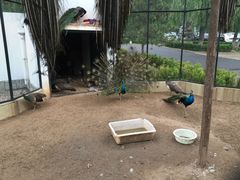 -月亮河温泉度假酒店