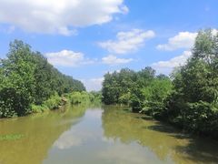 -溱湖国家湿地公园