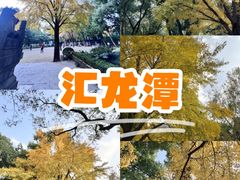 -汇龙潭