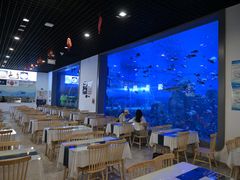 -石家庄极地海洋世界