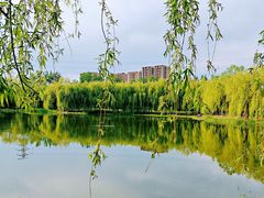 -东坝千亩湖公园