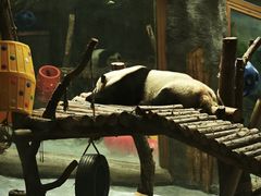 -青藏高原野生动物园