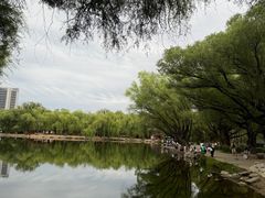 -青城公园