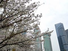 -西北湖绿化广场