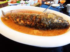 红烧黄河大鲤鱼-阿庄新豫菜(通泰路店)