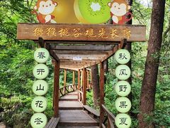 -大岭沟猕猴桃谷风景区