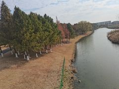 -江滩湿地公园