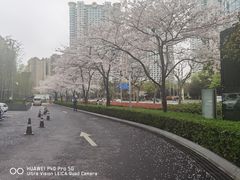 -上海柏悦酒店