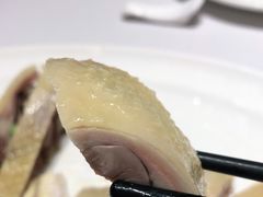 -新吉士·上海菜(浦东LCM置汇旭辉店)