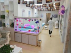 -痘庄科学祛痘国际连锁机构