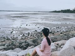 -宝安西湾红树林湿地公园