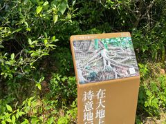 -马峦山郊野公园