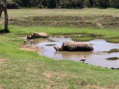 -威勒比开放式动物园