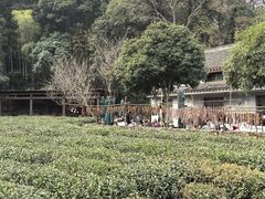 -杭州西湖风景名胜区-三生石