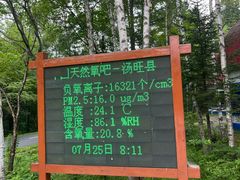 -汤旺河林海奇石景区