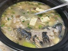 -土砂锅生态山庄·非遗砂锅雅鱼