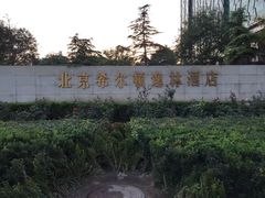 -北京希尔顿逸林酒店