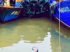 -沈家门渔港