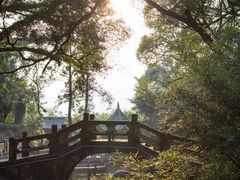 -青芝山风景名胜区