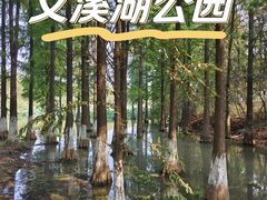-艾溪湖湿地公园