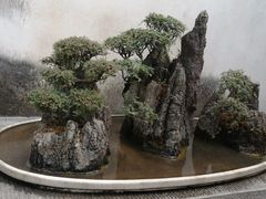 -朱家花园