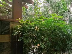 -金稼园·金平湖农家菜