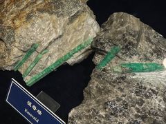 -中国地质大学逸夫博物馆