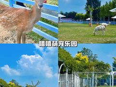 -渔岛海洋度假区